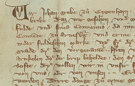 Symbol-Bild für Einheit Regesten der Grafen von Ziegenhain